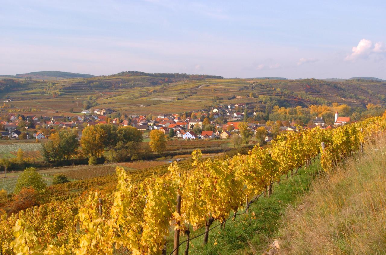 Appartamento Prabatsch-Aichinger Winzergut Langenlois Esterno foto