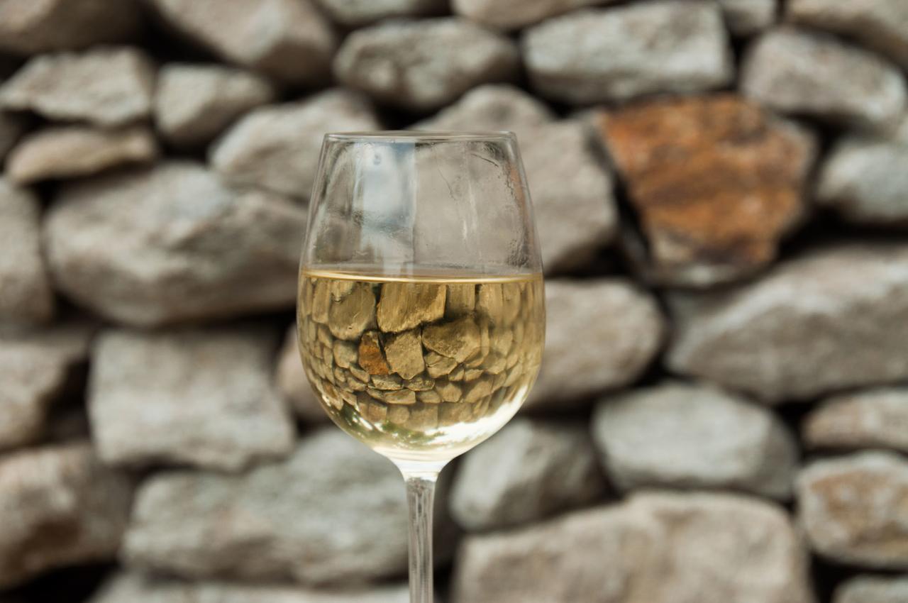 Appartamento Prabatsch-Aichinger Winzergut Langenlois Esterno foto