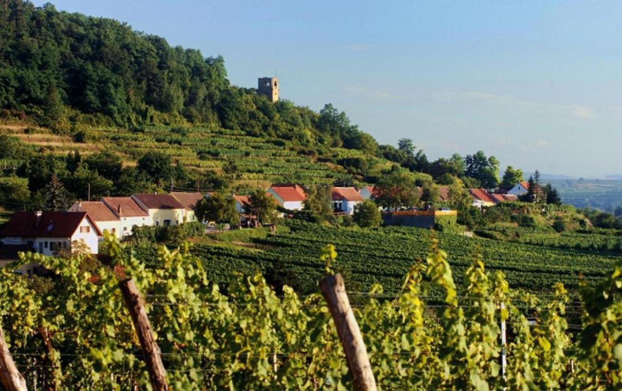 Appartamento Prabatsch-Aichinger Winzergut Langenlois Esterno foto